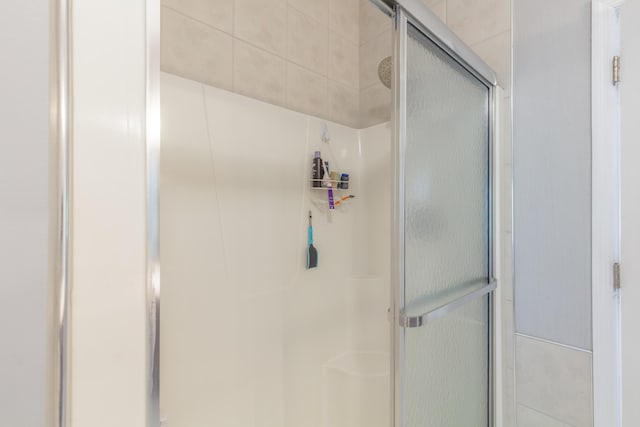 199 Falcons View Dr, Ringgold, GA 30736 - bathroom featuring a stall shower