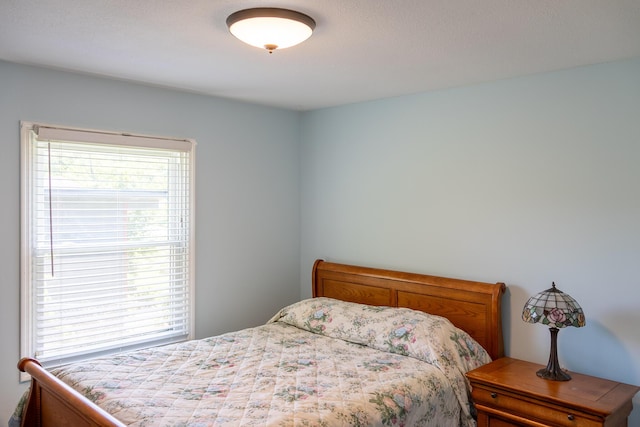 4619 Lake Haven Dr, Chattanooga, TN 37416 - view of bedroom