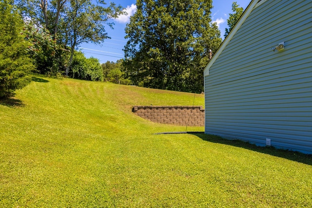 4619 Lake Haven Dr, Chattanooga, TN 37416 - view of grassy yard