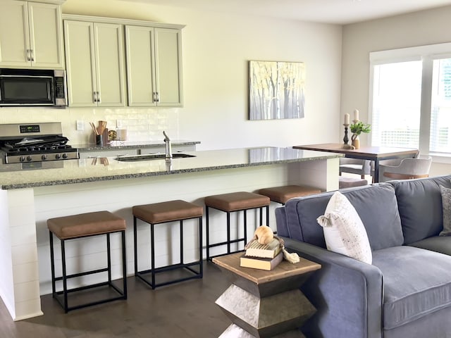 3309 Grassy Fields Ln, Apison, TN 37302 - kitchen featuring stainless steel appliances, dark wood-type flooring, a breakfast bar area, light stone countertops, and tasteful backsplash