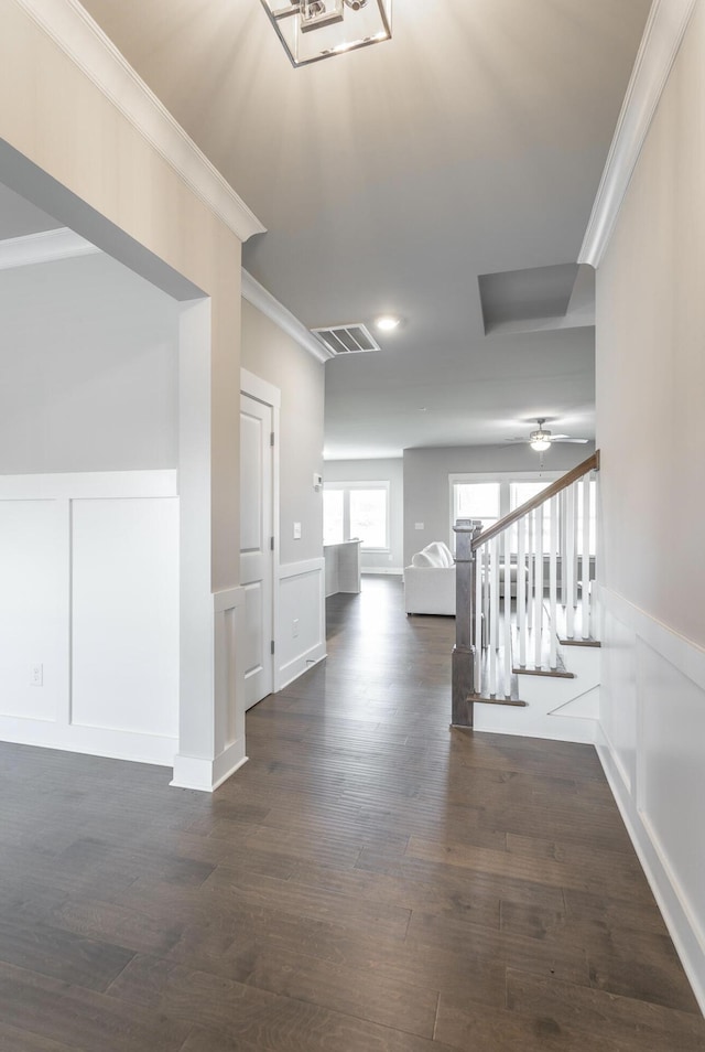3309 Grassy Fields Ln, Apison, TN 37302 - hall with a decorative wall, a wainscoted wall, crown molding, and dark wood-type flooring