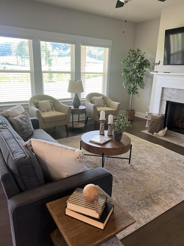 3309 Grassy Fields Ln, Apison, TN 37302 - living room featuring ceiling fan, wood finished floors, and a premium fireplace
