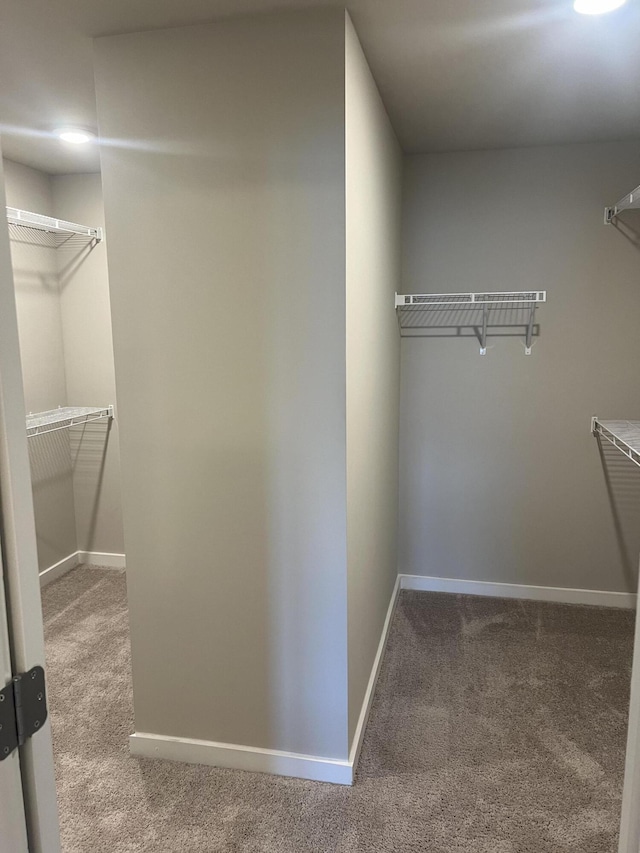 3309 Grassy Fields Ln, Apison, TN 37302 - spacious closet featuring carpet floors