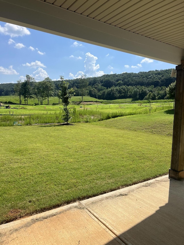 3309 Grassy Fields Ln, Apison, TN 37302 - view of green lawn featuring a rural view