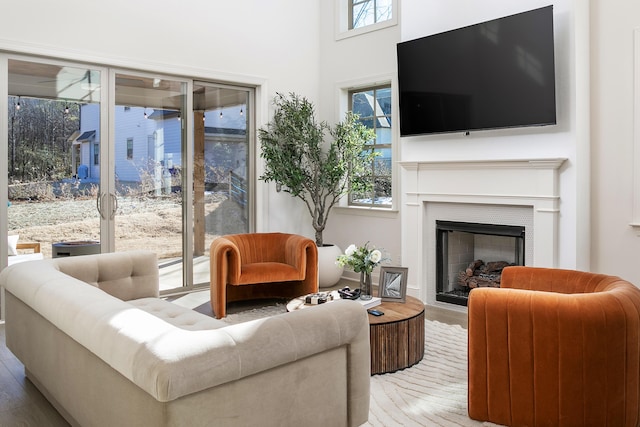 1399 Little Sorrel Rd Unit 30, Hixson, TN 37343 - living room with healthy amount of natural light, a fireplace, wood finished floors, and a high ceiling