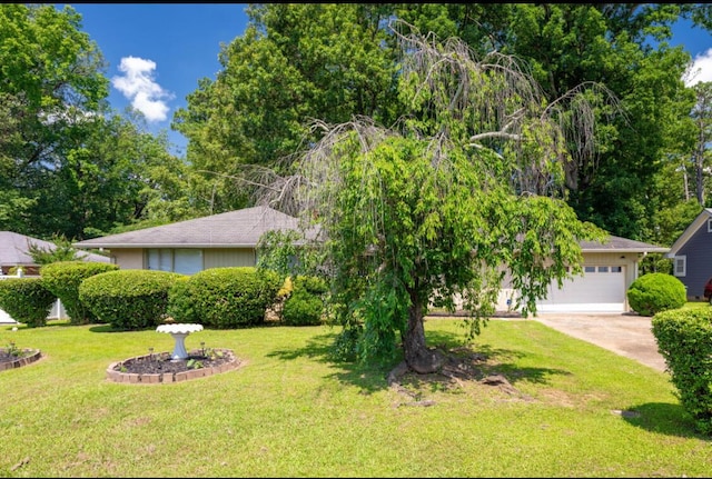 1339 Woodmore Ln, Chattanooga, TN 37411 - obstructed view of property featuring driveway, a front lawn, and an attached garage