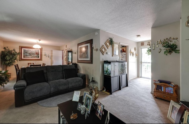 1339 Woodmore Ln, Chattanooga, TN 37411 - living area featuring carpet flooring and a textured ceiling