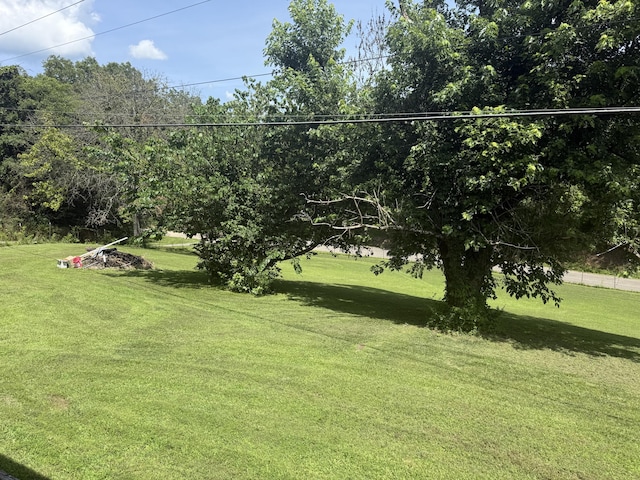 1661 W Francis Spring Rd, Whitwell, TN 37397 - view of green lawn