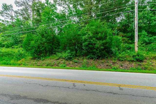 7441 Short Tail Springs Rd, Harrison, TN 37341