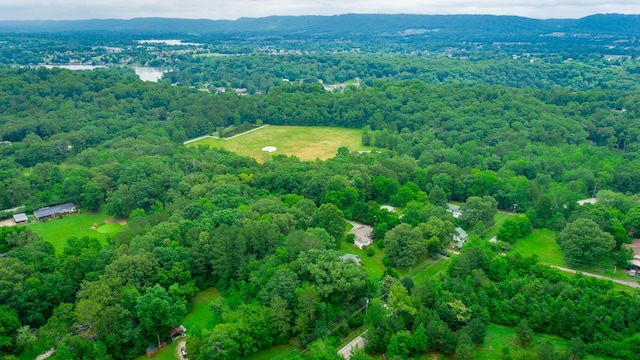 7441 Short Tail Springs Rd, Harrison, TN 37341