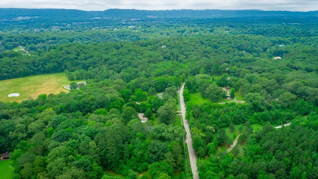 7441 Short Tail Springs Rd, Harrison, TN 37341