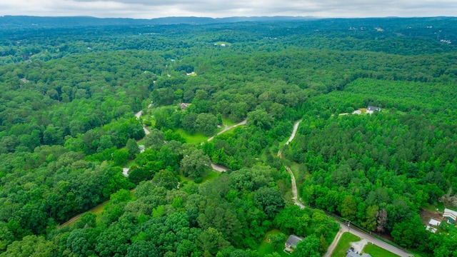 7441 Short Tail Springs Rd, Harrison, TN 37341