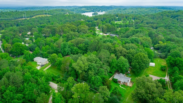 7441 Short Tail Springs Rd, Harrison, TN 37341
