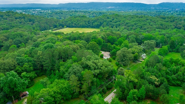 7441 Short Tail Springs Rd, Harrison, TN 37341