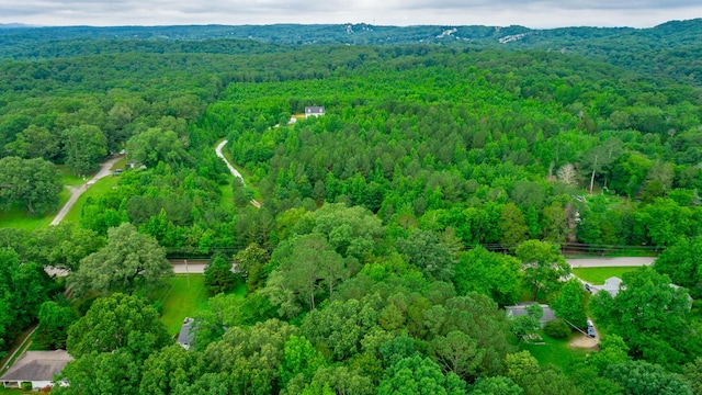 7441 Short Tail Springs Rd, Harrison, TN 37341