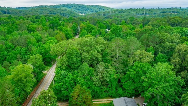 7441 Short Tail Springs Rd, Harrison, TN 37341