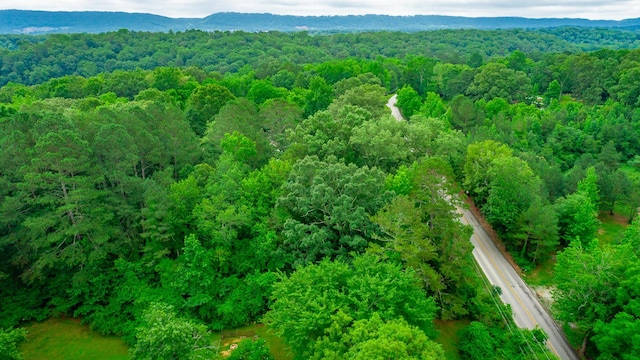 7441 Short Tail Springs Rd, Harrison, TN 37341