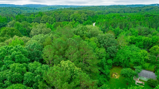 7441 Short Tail Springs Rd, Harrison, TN 37341