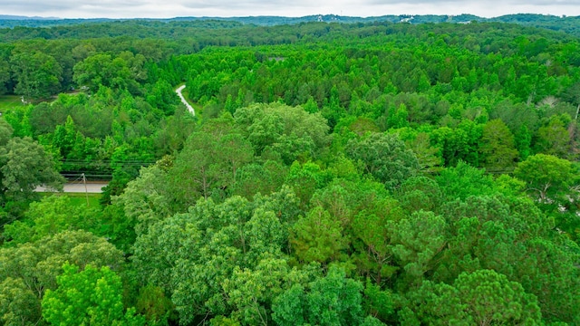 7441 Short Tail Springs Rd, Harrison, TN 37341
