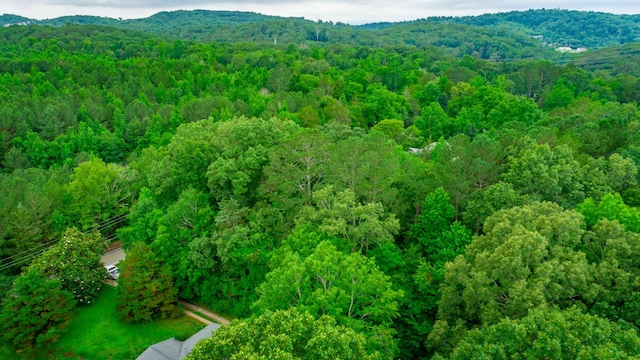 7441 Short Tail Springs Rd, Harrison, TN 37341