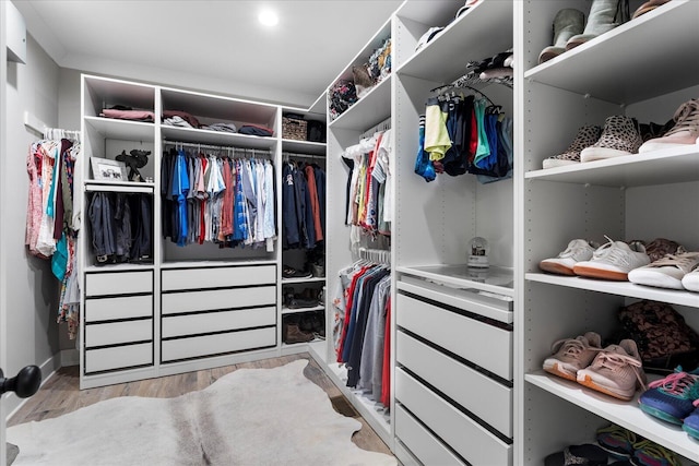 12951 Blakeslee Dr, Soddy Daisy, TN 37379 - walk in closet featuring wood finished floors