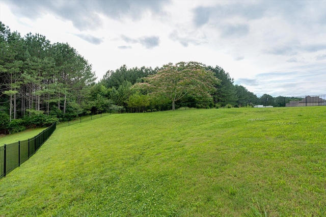 12951 Blakeslee Dr, Soddy Daisy, TN 37379 - view of yard