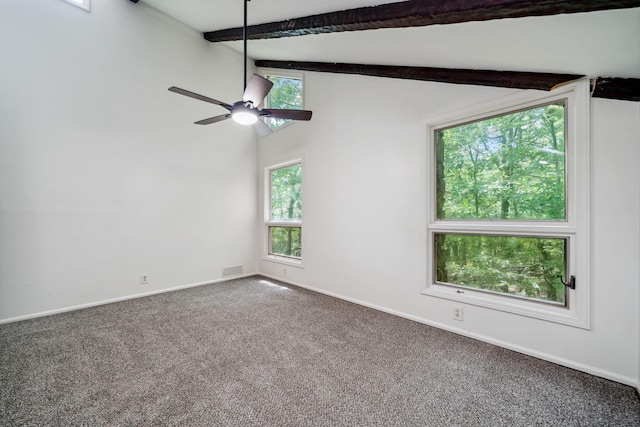 507 Big Stump Mountain Trl, Jasper, GA 30143 - spare room featuring plenty of natural light, carpet floors, and ceiling fan