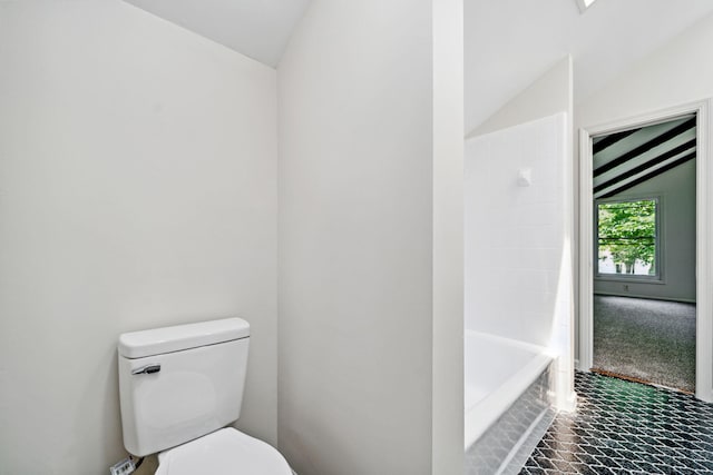 507 Big Stump Mountain Trl, Jasper, GA 30143 - bathroom featuring vaulted ceiling and  shower combination