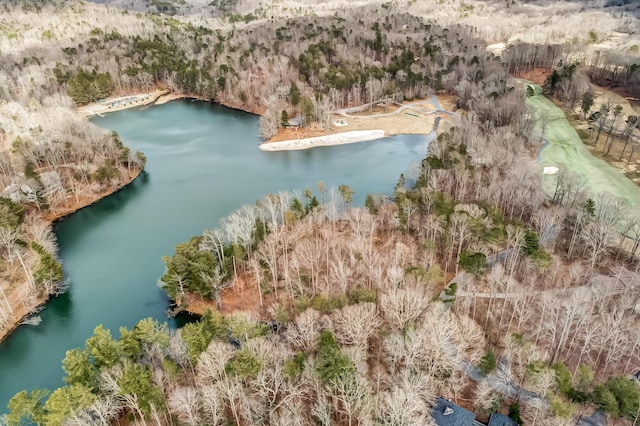 507 Big Stump Mountain Trl, Jasper, GA 30143 - aerial view of a large body of water