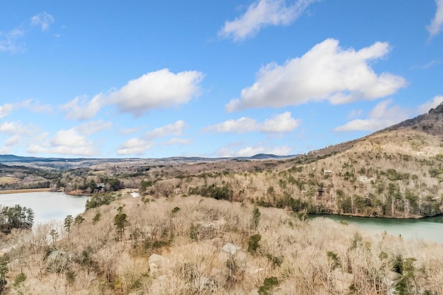 507 Big Stump Mountain Trl, Jasper, GA 30143 - view of mountain backdrop featuring a large body of water