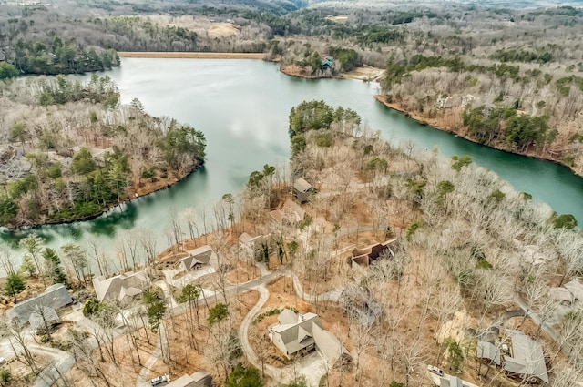 507 Big Stump Mountain Trl, Jasper, GA 30143 - bird's eye view of a large body of water and a forest