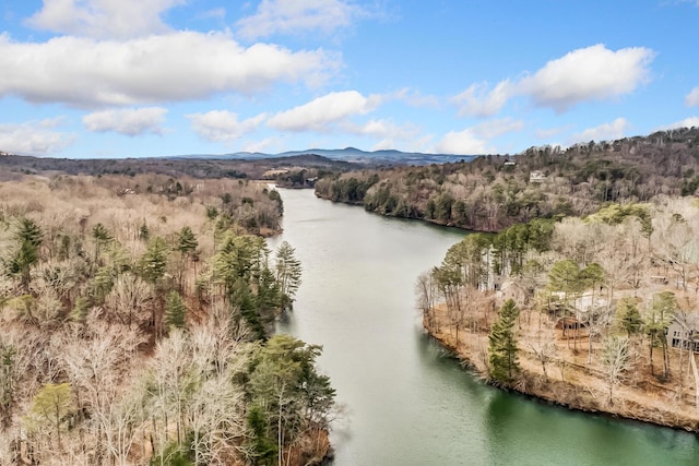 507 Big Stump Mountain Trl, Jasper, GA 30143 - drone / aerial view of a water and mountain view and a heavily wooded area