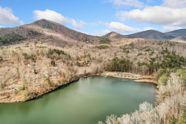 507 Big Stump Mountain Trl, Jasper, GA 30143 - aerial view of a water and mountain view