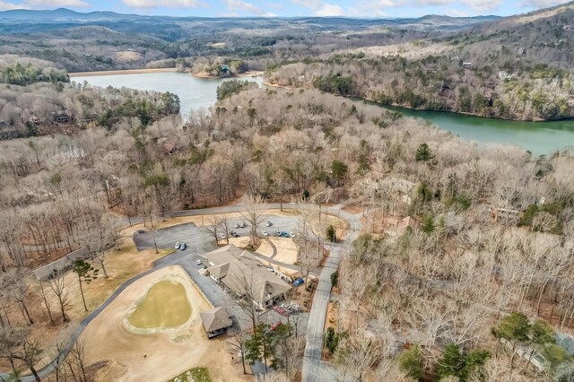 507 Big Stump Mountain Trl, Jasper, GA 30143 - view of property location featuring a water and mountain view