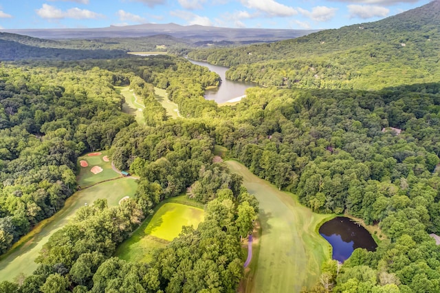 507 Big Stump Mountain Trl, Jasper, GA 30143 - view of property location featuring a water and mountain view and a golf club