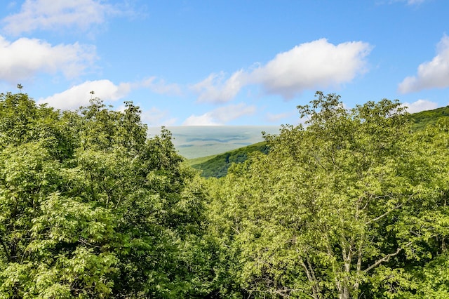 507 Big Stump Mountain Trl, Jasper, GA 30143 - view of mountain backdrop featuring a forest