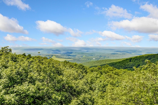 507 Big Stump Mountain Trl, Jasper, GA 30143 - bird's eye view of a heavily wooded area
