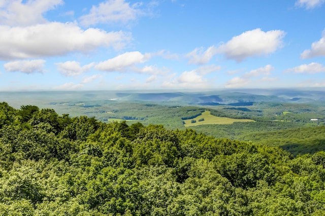 507 Big Stump Mountain Trl, Jasper, GA 30143 - bird's eye view of a heavily wooded area