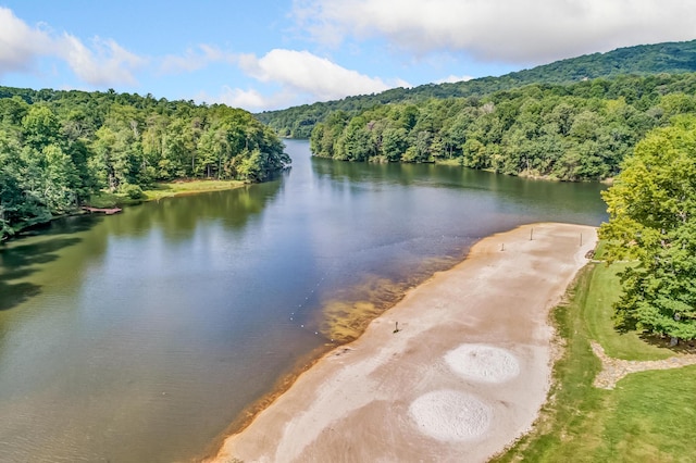 507 Big Stump Mountain Trl, Jasper, GA 30143 - water view with a heavily wooded area