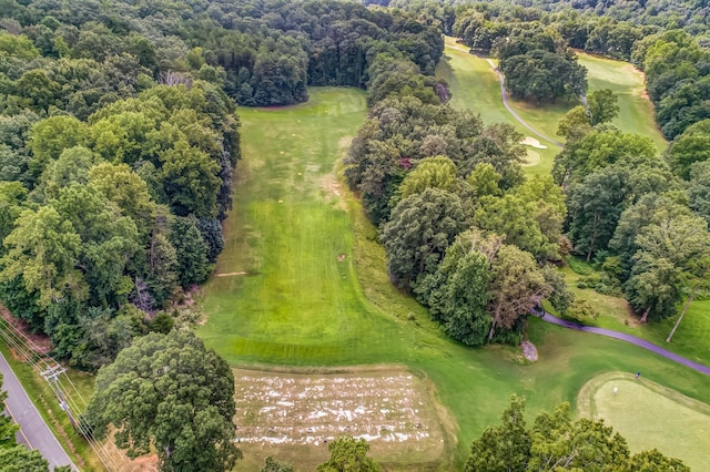 507 Big Stump Mountain Trl, Jasper, GA 30143 - aerial view of a nearby body of water and a golf club