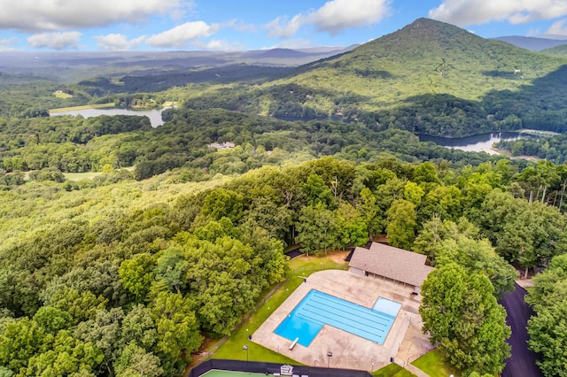 507 Big Stump Mountain Trl, Jasper, GA 30143 - drone / aerial view of a heavily wooded area and a water and mountain view