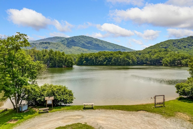 507 Big Stump Mountain Trl, Jasper, GA 30143 - water view featuring a heavily wooded area and a mountainous background