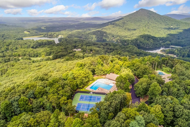 507 Big Stump Mountain Trl, Jasper, GA 30143 - aerial view of a forest