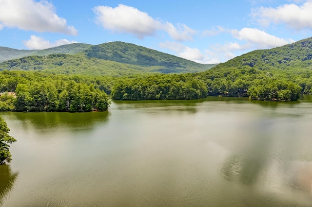 507 Big Stump Mountain Trl, Jasper, GA 30143 - water view with a mountainous background