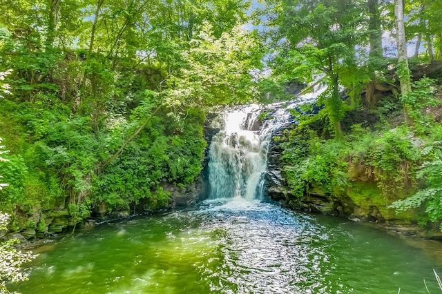 507 Big Stump Mountain Trl, Jasper, GA 30143 - water view