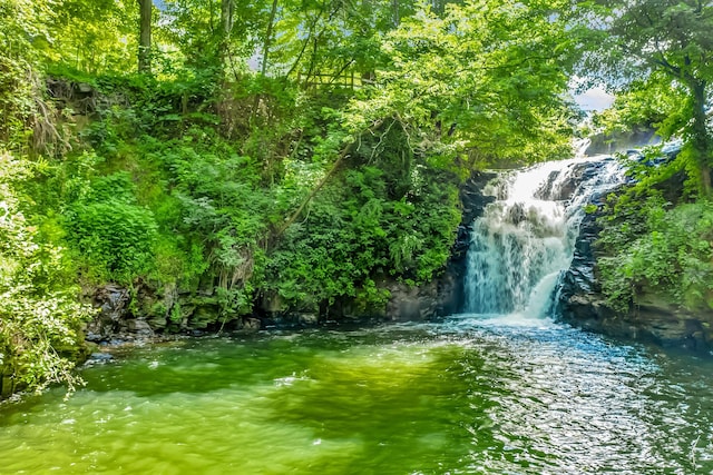 507 Big Stump Mountain Trl, Jasper, GA 30143 - water view