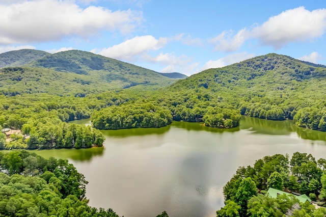 507 Big Stump Mountain Trl, Jasper, GA 30143 - drone / aerial view of a heavily wooded area and a water and mountain view