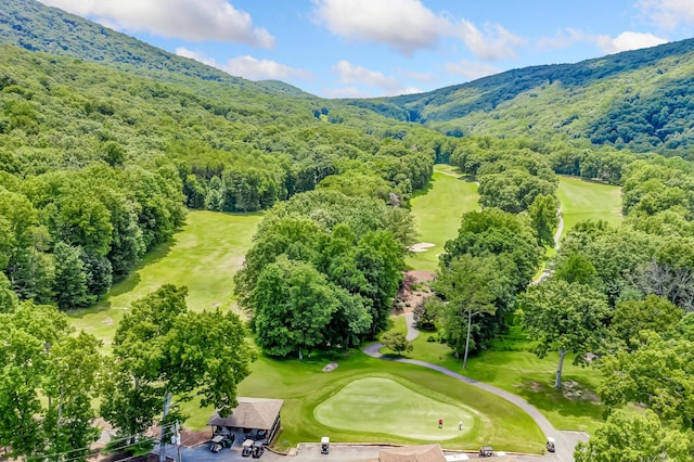 507 Big Stump Mountain Trl, Jasper, GA 30143 - drone / aerial view of a mountain backdrop and a local golf course