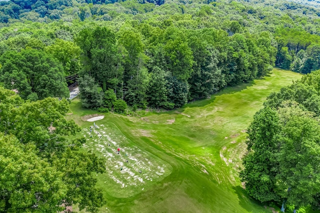 507 Big Stump Mountain Trl, Jasper, GA 30143 - drone / aerial view of a heavily wooded area