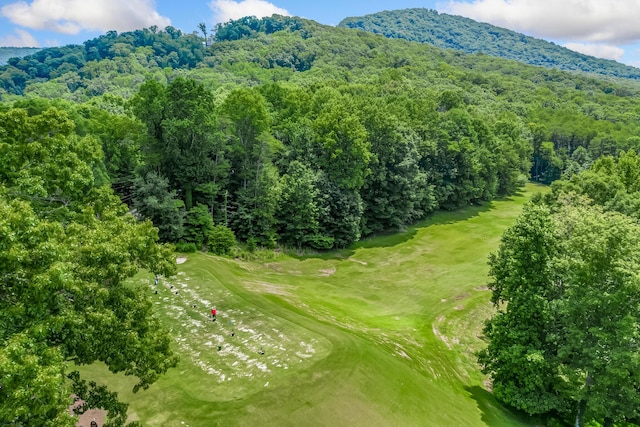 507 Big Stump Mountain Trl, Jasper, GA 30143 - bird's eye view of a mountain backdrop and a golf course